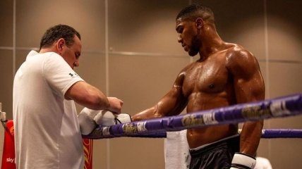 Джошуа обратился к WBO из-за ситуации с Усиком