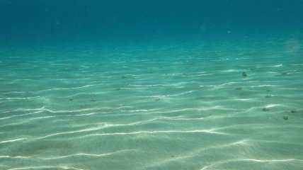 Ученые назвали причину проседания океанического дна