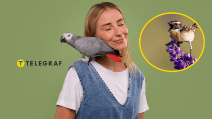 Дівчина з папугою