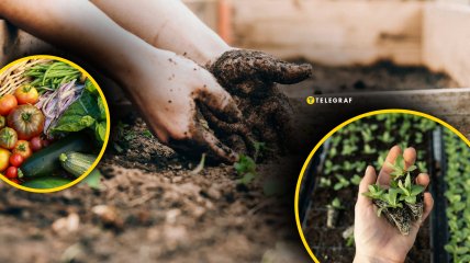 Работы на огороде