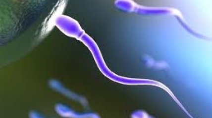 Пассивное курение повреждает ДНК сперматозоидов