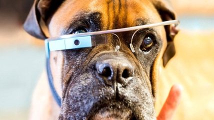 Почему провалились Google Glass?