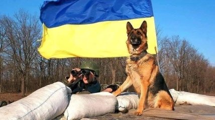 Флаг Украины вновь развевается над частью ранее оккупированных территорий