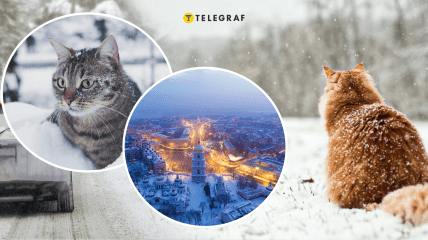 Сніг в Україні