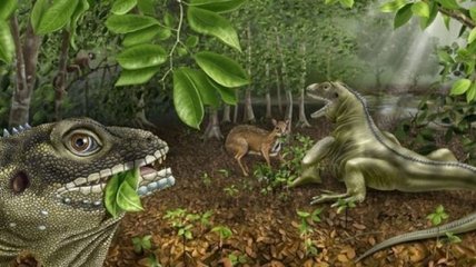 Палеонтологи обнаружили новый вид ископаемой ящерицы