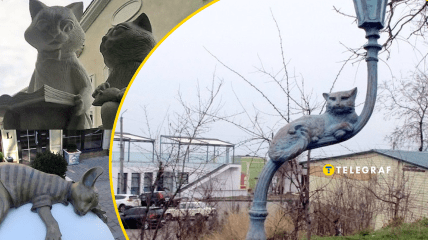 Эти кошки стали настоящим украшением города