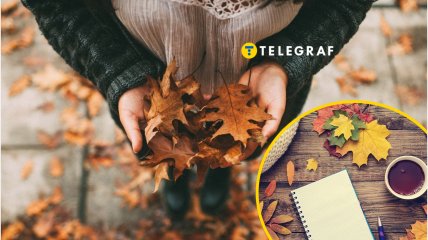 Запреты на 20 ноября