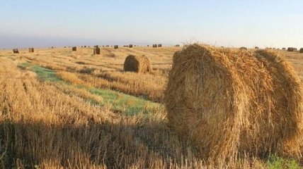 20 июля - праздник, что категорически запрещено делать, главные приметы