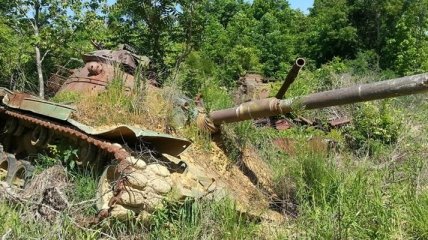 Захваченный природой: танки, оставшиеся на полях сражений (Фото)