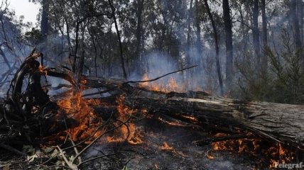 Тысячи человек эвакуированы из-за лесных пожаров в США