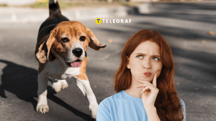 Это не просто интересная анатомическая мелочь