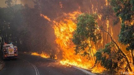 Лесной пожар в Австралии уничтожил 52 дома