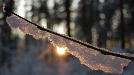 Прогноз погоды на 13 февраля: в Украину идет кратковременное потепление