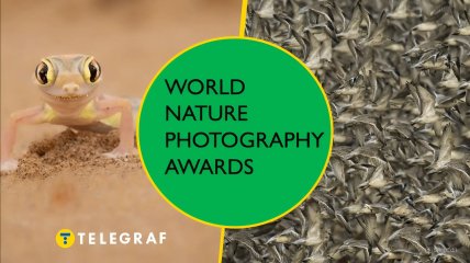 Иллюстративное фото