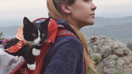 Кемпинг с кошками - профиль в Instagram, вдохновляющий на путешествие со своей кошкой (Фото) 