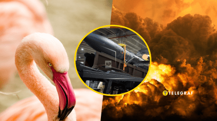 Ракета Фламинго