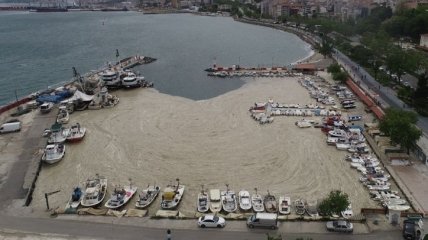 "Морские сопли" захватили побережье Турции (фото, видео)