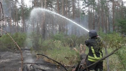 Под Станицей Луганской спасатели ликвидировали пожар