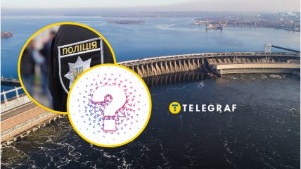 В Запорожье заметили необычных птиц