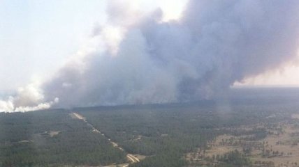 На Херсонщине до сих пор горит лес: впечатляющие фото