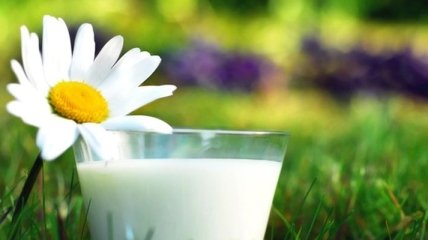 Мифы о пользе обезжиренного молока
