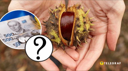 Скільки коштують каштани