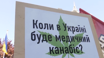 Медицинский каннабис хотят легализовать в Украине