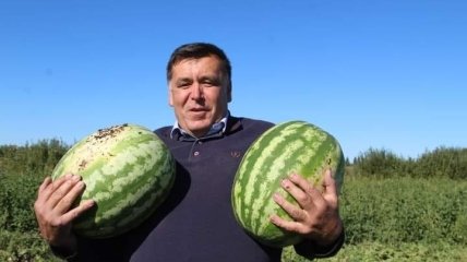 Такі 14-кілограмові кавуни минулого року вродили під Миргородом, каже Віктор Галич
