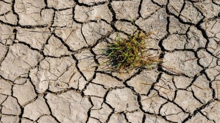 Больше всех пострадают люди: количество засух в мире стремительно растет