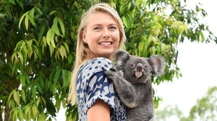 Мария Шарапова позирует с коалой