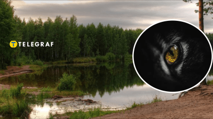 Хижак у лісі