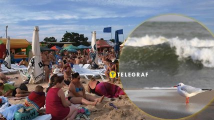 Отдых в оккупации без людей, но с чайками