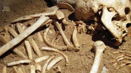 В Берлине возле бывшего концлагеря обнаружены человеческие кости