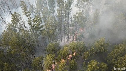 В Чернобыльской зоне произошел еще один пожар: фото и видео