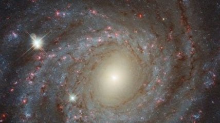 Телескоп Hubble сделал снимок спиральной галактики NGC 3344