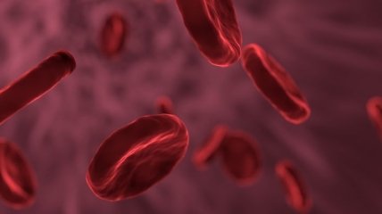 Ученым удалось превратить клетки крови в стволовые клетки нервной системы
