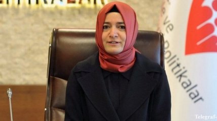 Нидерланды объявили о депортиртации турецкого министра