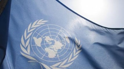 В ООН раскритиковали законопроект о дезинформации