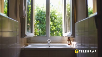 Є багато методі боротьби з неприємним запахом в туалеті  (зображення створено за допомогою ШІ)