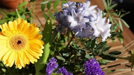 Короткие поздравления с днем рождения на 25 июня 