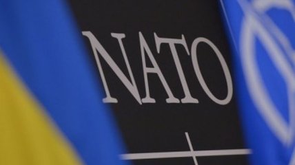 НАТО не будет менять политику по Украине из-за Венгрии