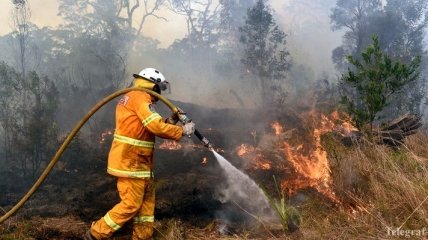 В Новой Зеландии бушуют лестные пожары