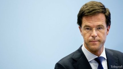 Премьер Нидерландов: На месте крушения "Боинга" нашли новые останки