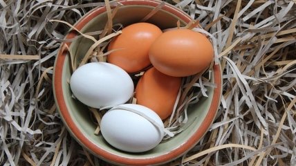 В куриных яйцах обнаружили новое полезное свойство