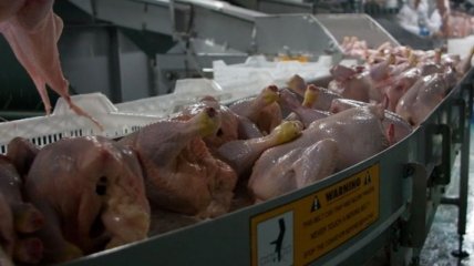 В Хмельницкой области обнаружено не задокументированное мясо