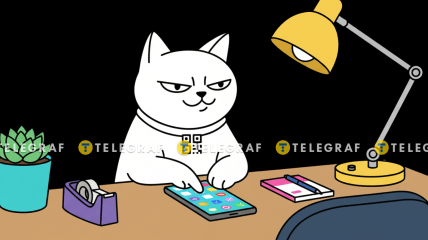 Кот-моно с телефоном