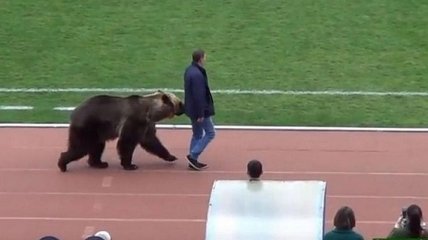 Медведь открыл матч чемпионата России по футболу 
