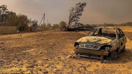 В сеть попали шокирующие фото последствий масштабных лесных пожаров на Луганщине: выгорело абсолютно все