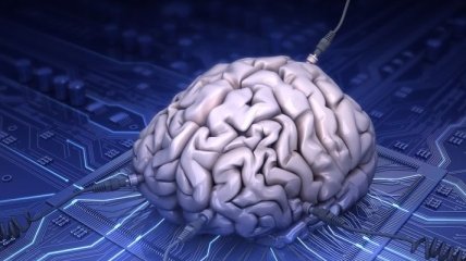 Создан искусственный мини-мозг