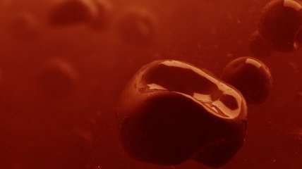 Ученые научились превращать старые клетки крови в стволовые